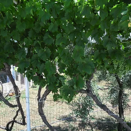 Apartmens Zara Apartmán *