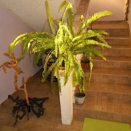 Apartmán Apartmens Zara Šibenik